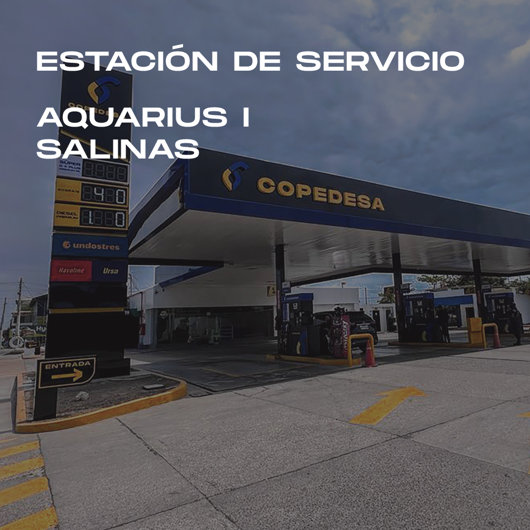 EDS AQUARIUS 1 GALERIA