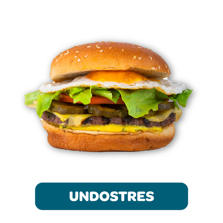 HAM-UNDOSTRES